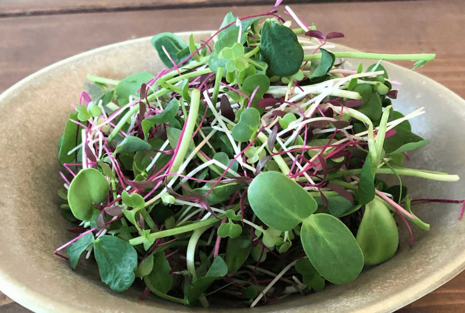 Garden Mix microgreen blend grown by Strathcona Microgreens in Edmonton