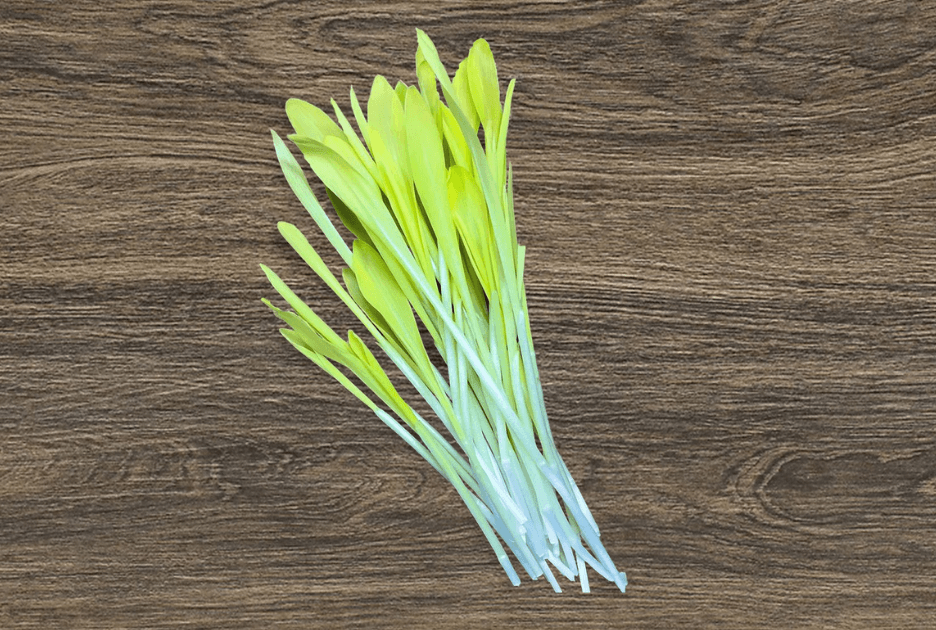 Popcorn Shoots microgreens grown by Strathcona Microgreens in Edmonton