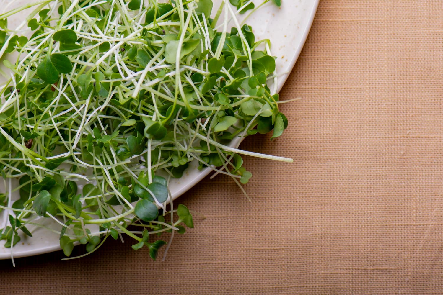 Asian Blend chef menu photo from Strathcona Microgreens