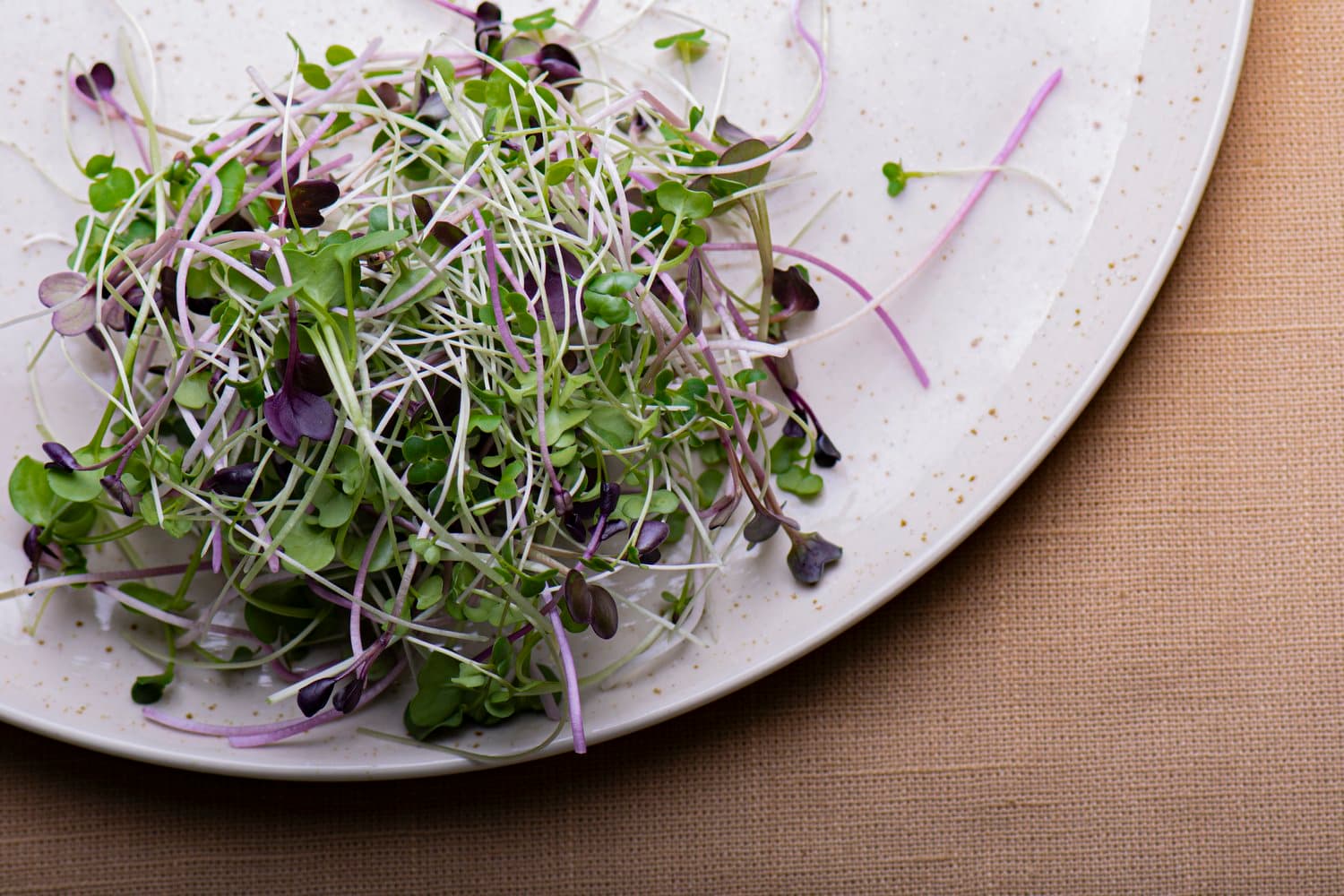 Brassica Blend chef menu photo from Strathcona Microgreens