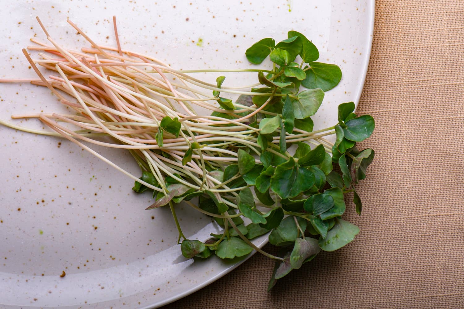 Buckwheat chef menu photo from Strathcona Microgreens