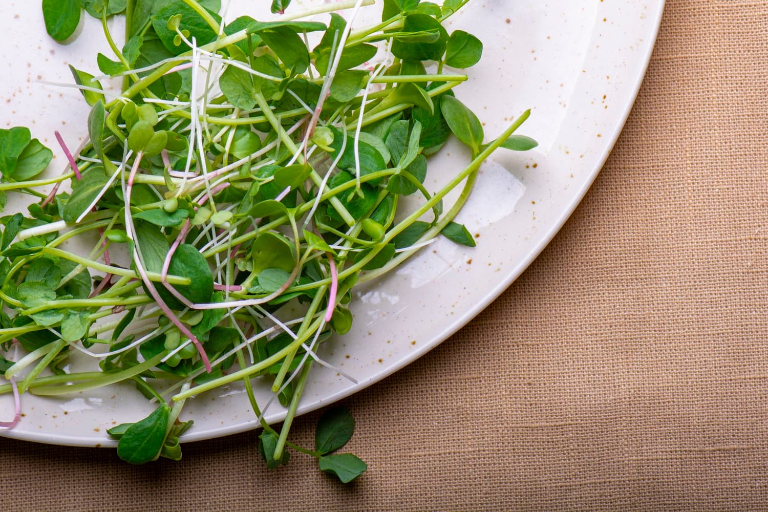Garden Mix chef menu photo from Strathcona Microgreens