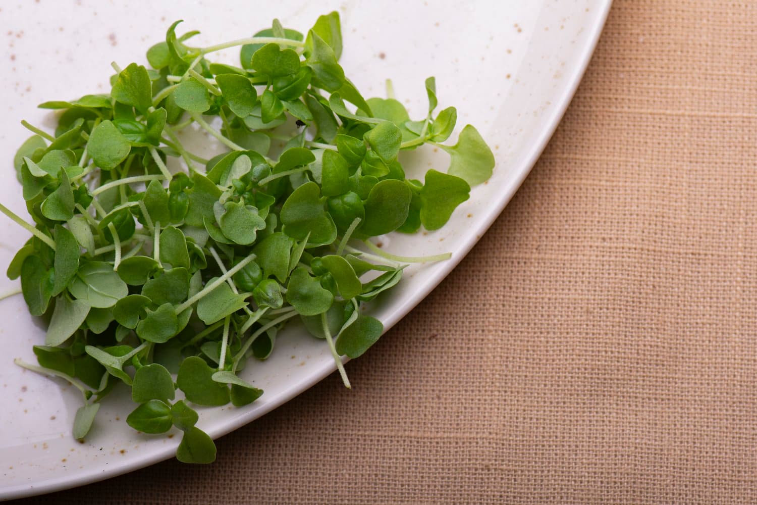 Genovese Basil chef menu photo from Strathcona Microgreens