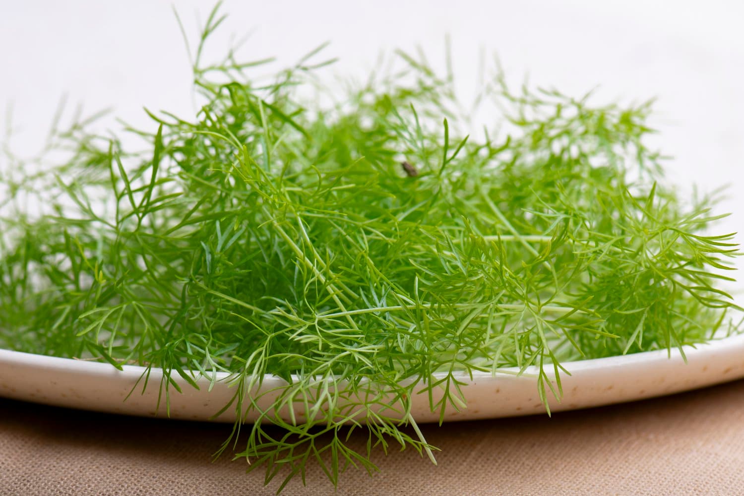 Micro Fennel chef menu photo from Strathcona Microgreens
