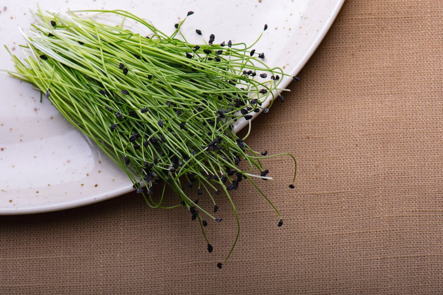 Micro Leeks chef menu photo from Strathcona Microgreens