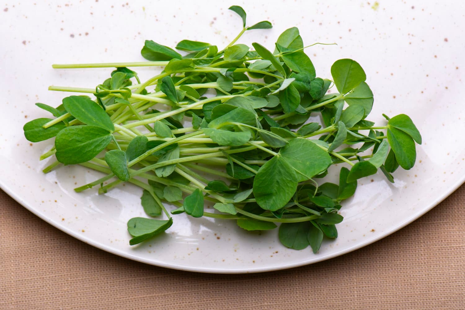 Pea Shoots chef menu photo from Strathcona Microgreens