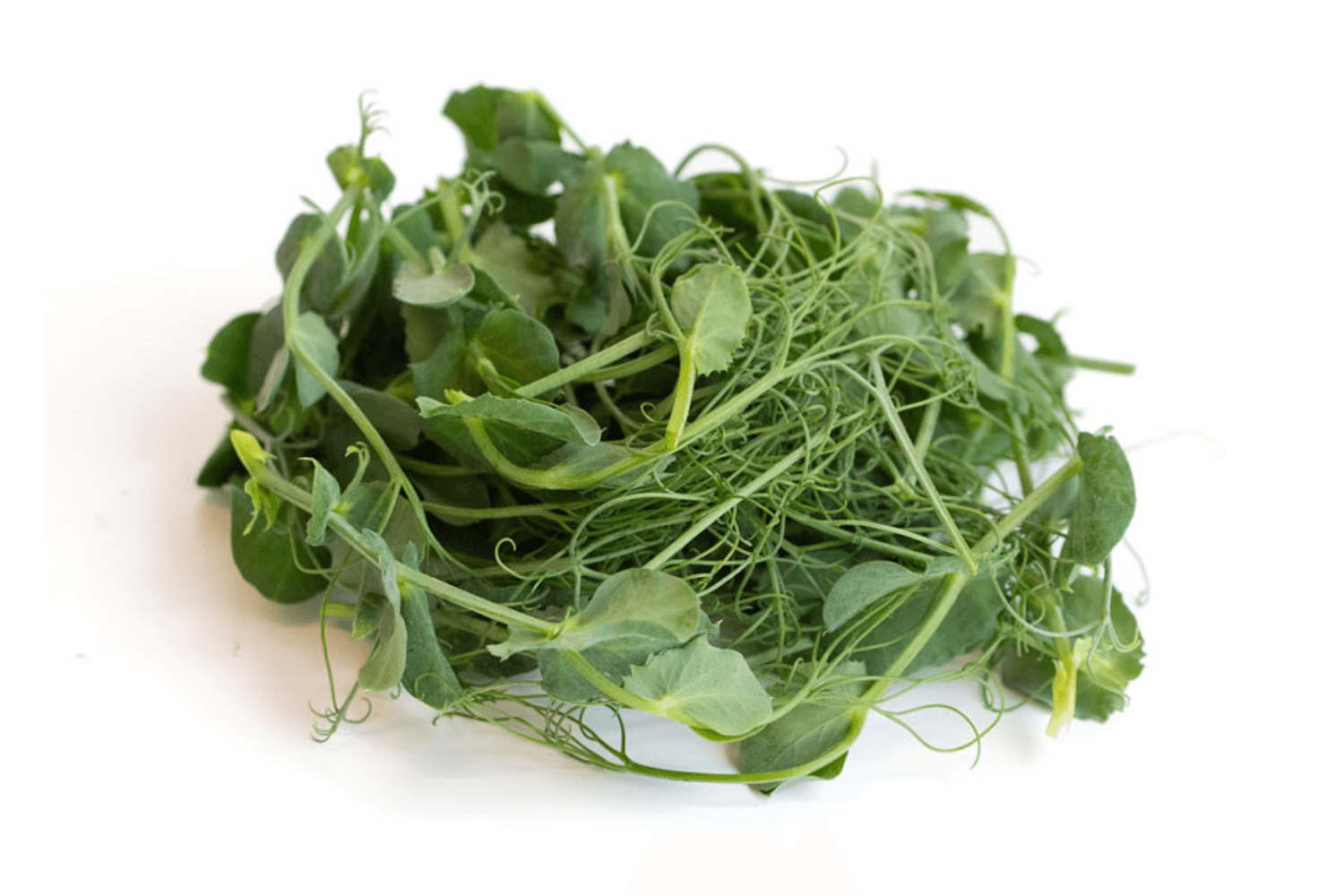 Pea Tendrils chef menu photo from Strathcona Microgreens