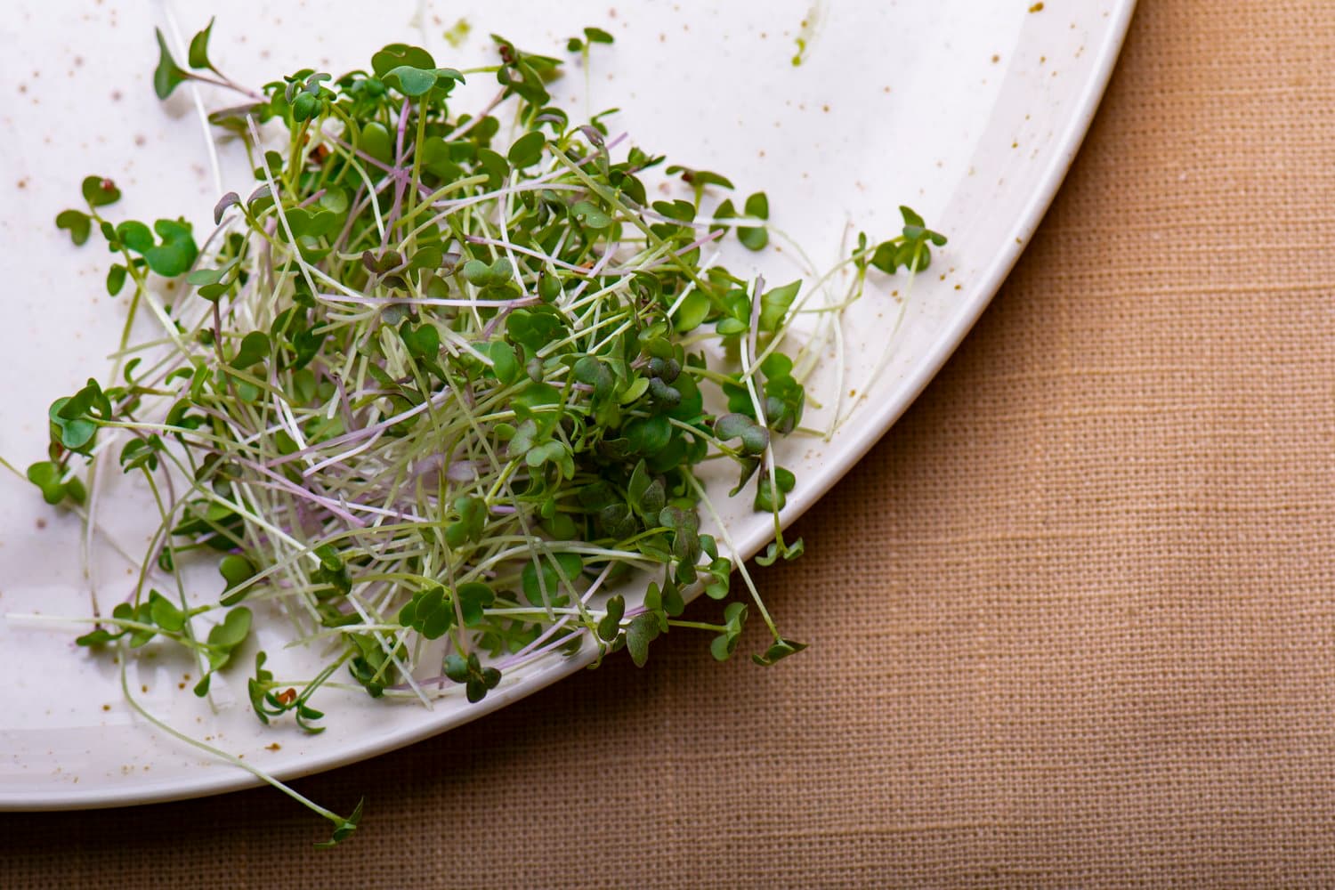 Petite Spicy Mix chef menu photo from Strathcona Microgreens