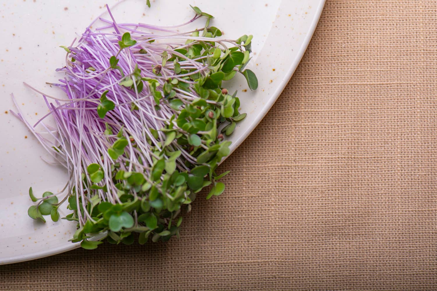 Purple Kohlrabi chef menu photo from Strathcona Microgreens