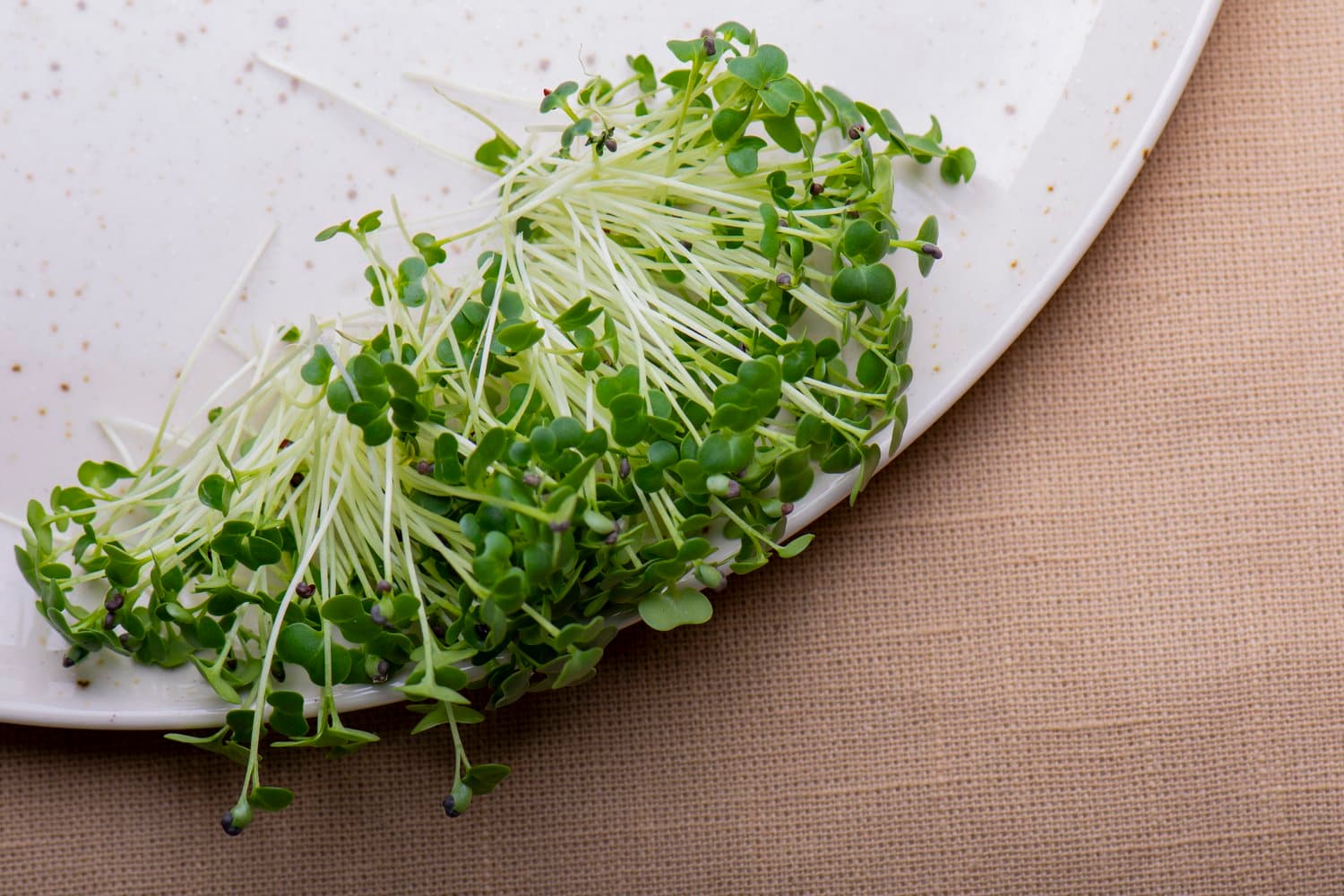 Tatsoi Mustard chef menu photo from Strathcona Microgreens