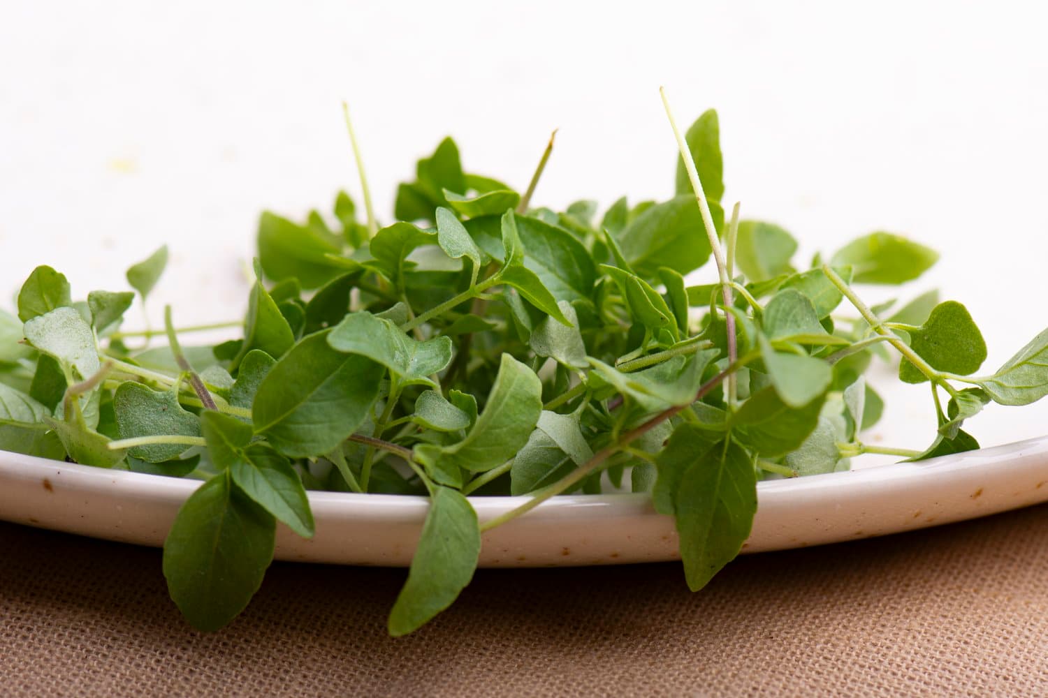 Thai Basil chef menu photo from Strathcona Microgreens