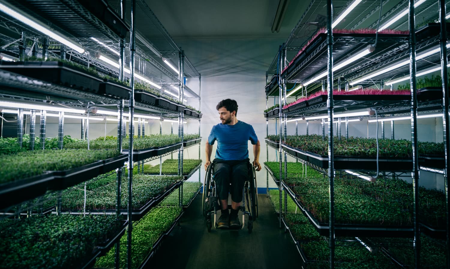 Riccardo in the Strathcona Microgreens grow room