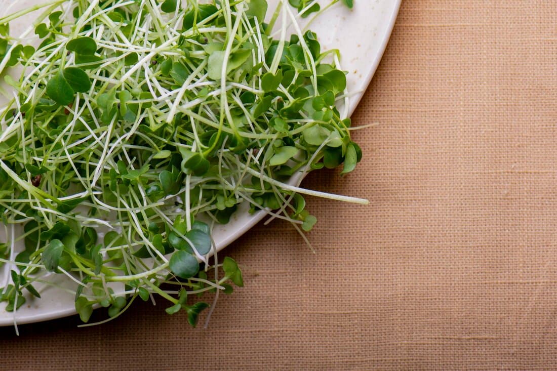 Asian Blend microgreen blend grown by Strathcona Microgreens in Edmonton