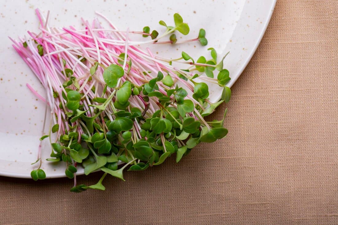 Ruby Stemmed Radish from Strathcona Microgreens